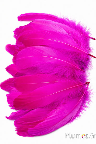 Gans - 11-15 cm - fuchsia